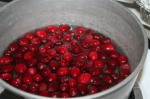 Thanksgiving Cranberry snack food ideas