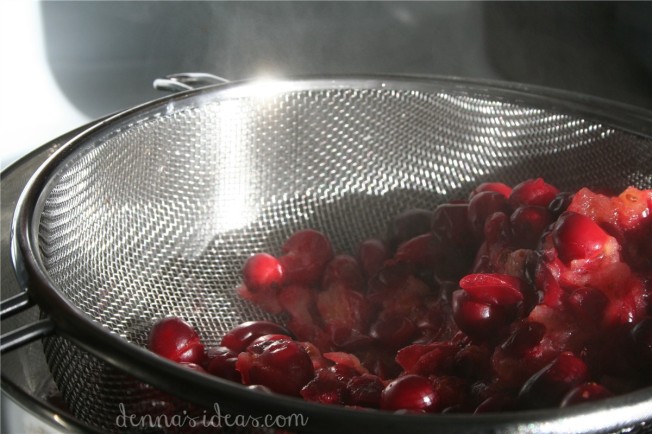 cranberry punch by dennasideas.com -
